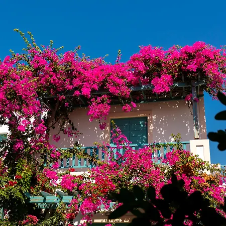 Andreas * Kamari (Santorini)
